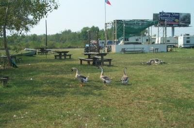 Sept 2004 14